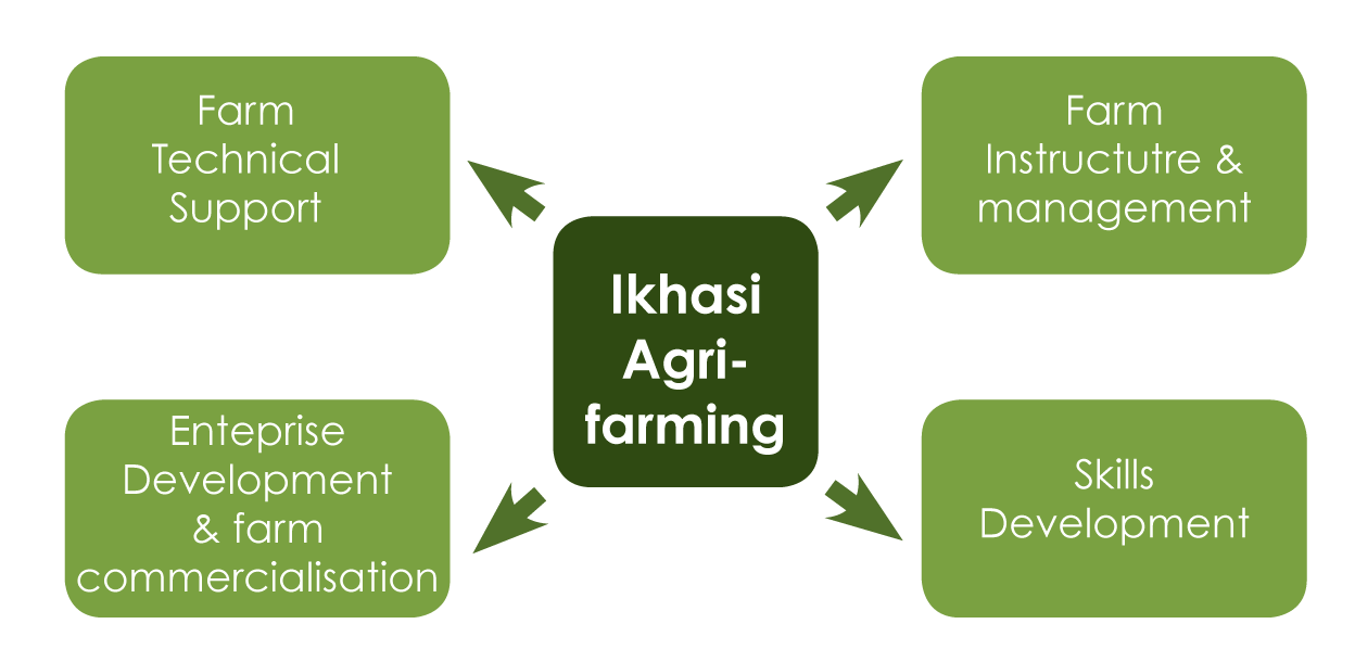 Key Focus Areas